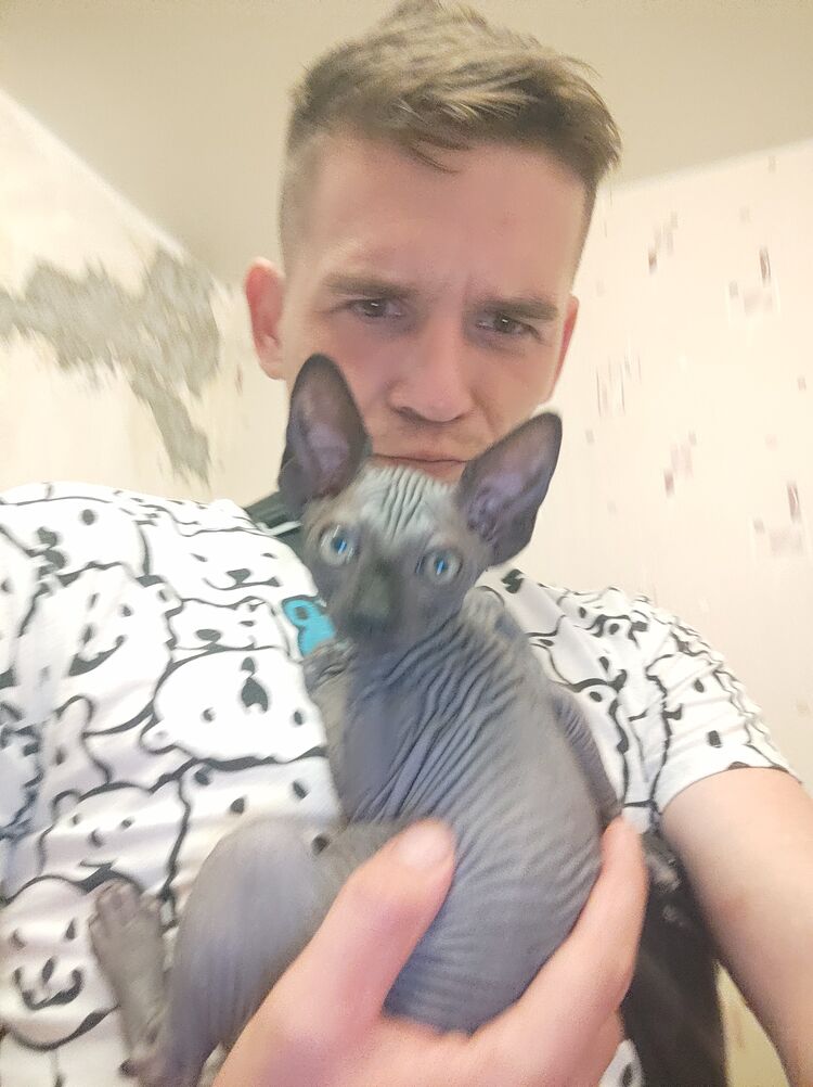 ���������� �������, ���� ������� �������, 31 ���, ������������ ��� ������, ����� � ���������