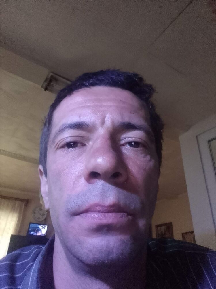  34036913  , 44 ,    
