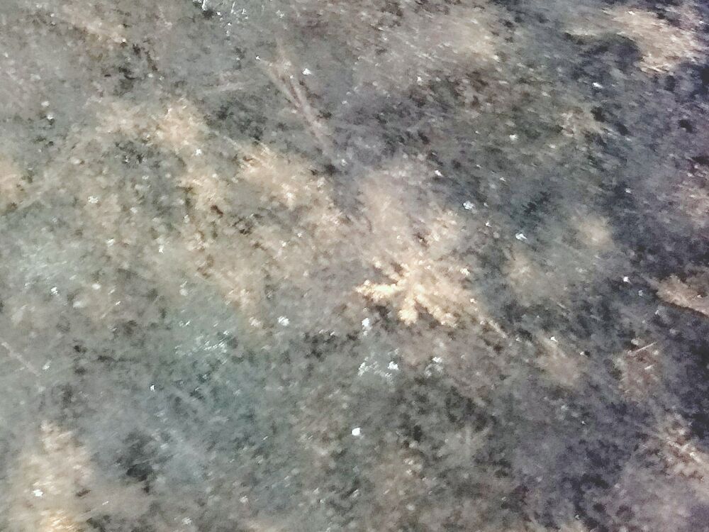 ���������� �����, ���� ������� ���, 37 ���, ������������ ��� ������, ����� � ���������