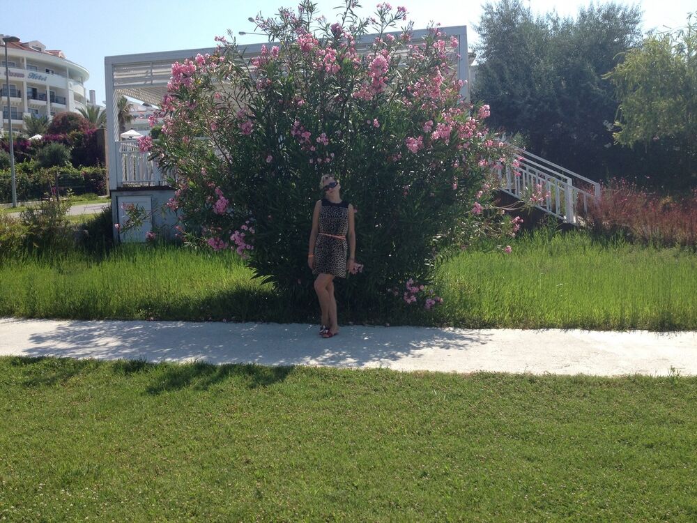 ���������� �����-���������, ���� ������� �������, 36 ���, ������������ ��� ������, ����� � ���������, c�������� ���������