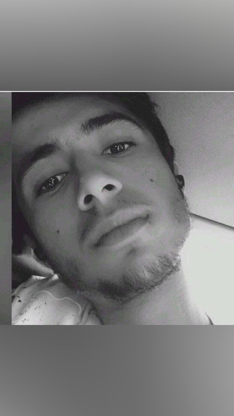  29028083  , 24 ,    --