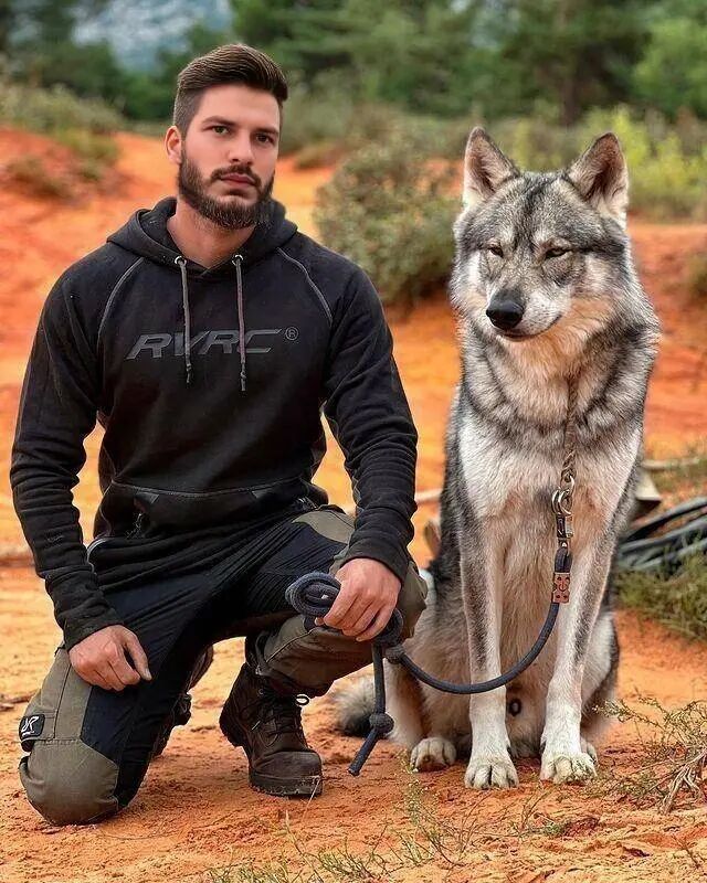 ���������� ����, ���� ������� Ը���, 28 ���, ������������ ��� ������, ����� � ���������