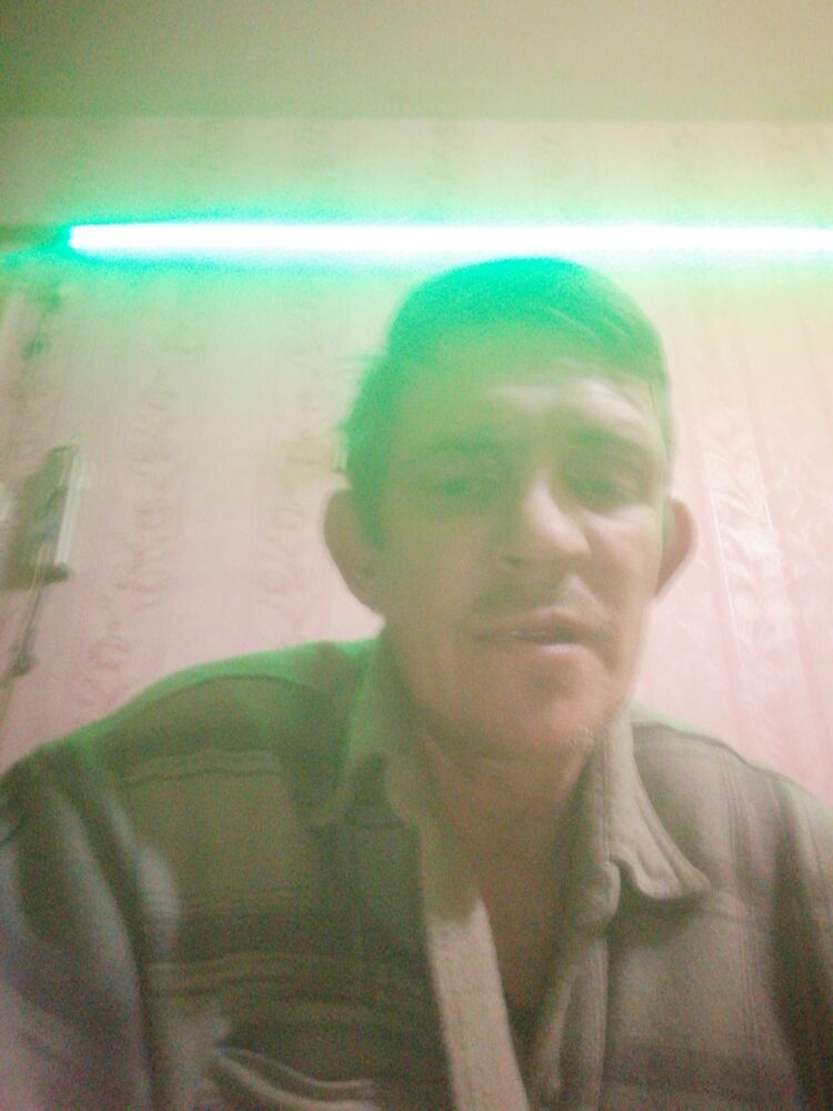  33918533  , 46 ,    