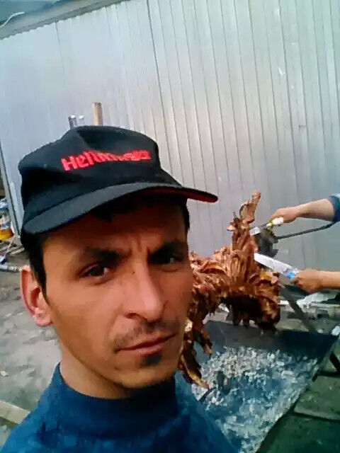 ���� 43902663 ������� ����, 38 ���, ���� ���������� � ������