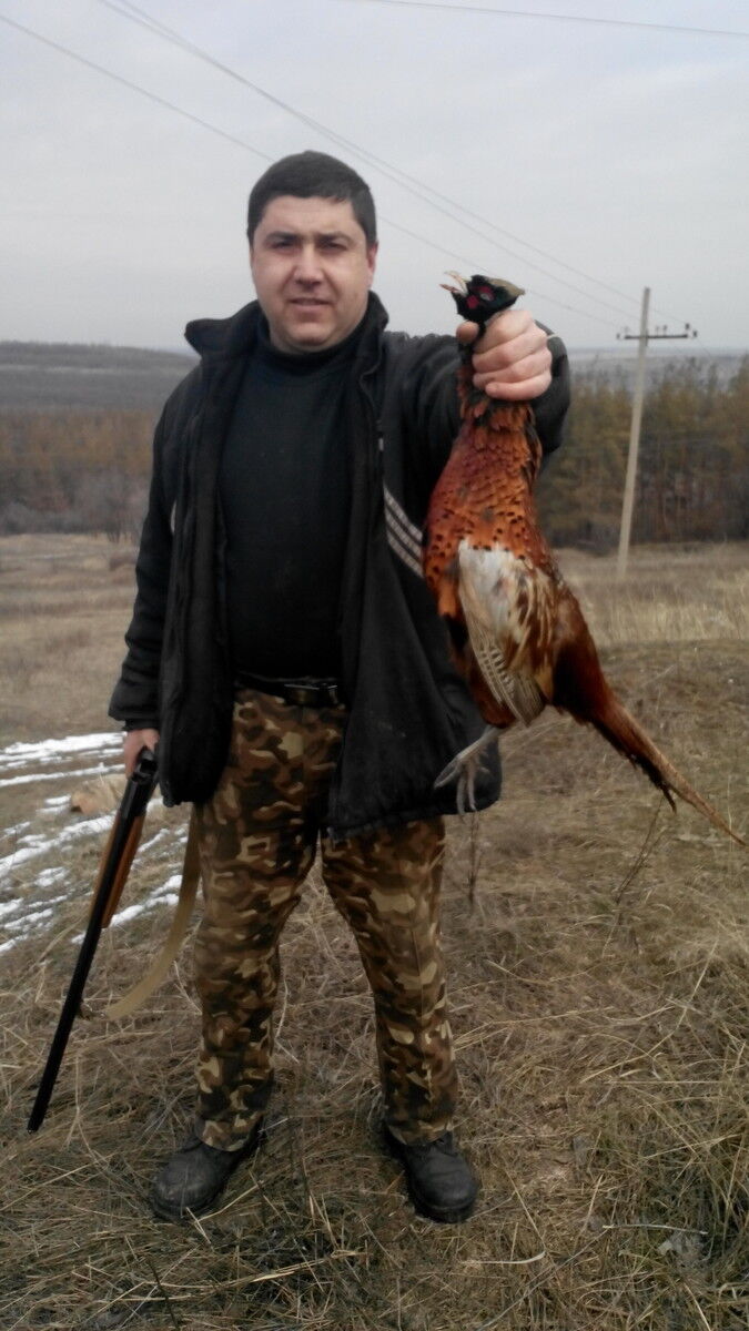 ���� 8443493 ������� �����, 52 ����, ���� ���������� � �������