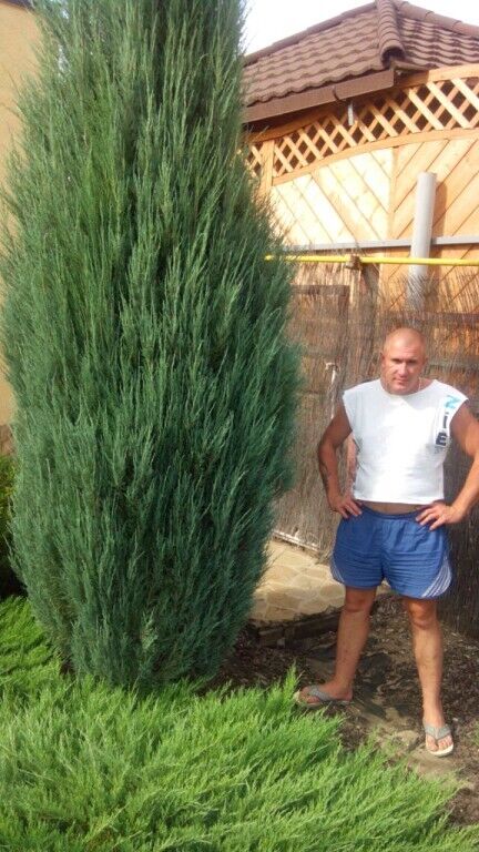 ���� 49118343 ������� ������, 37 ���, ���� ���������� � ������