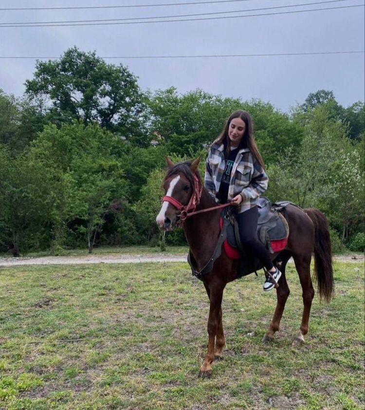  54652163  , 24 ,    -