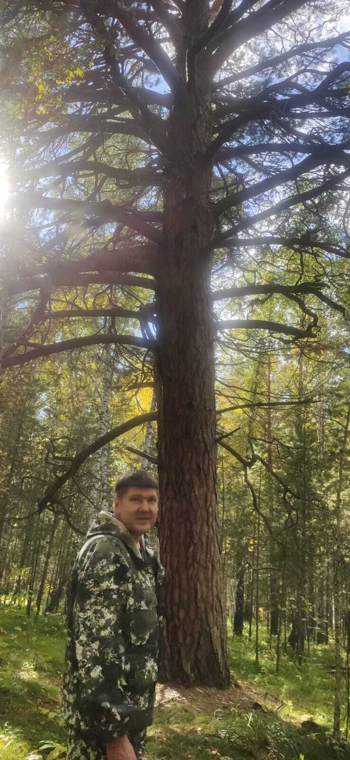  ,   , 52 ,   ,   