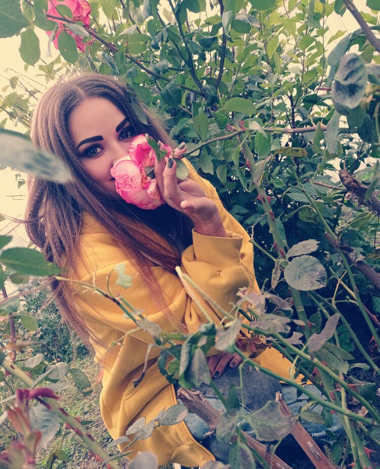 ���������� ���������, ���� ������� ������, 36 ���, ������������ ��� ������, ����� � ���������, c�������� ���������