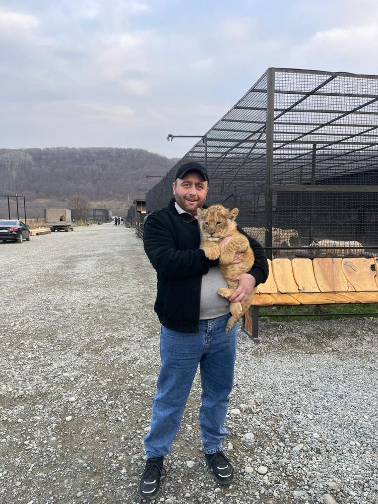 ���� 56235673 ������� �����, 36 ���, ���� ���������� � ����������