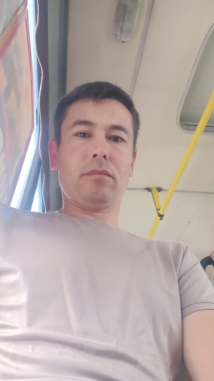  45368203  , 33 ,    