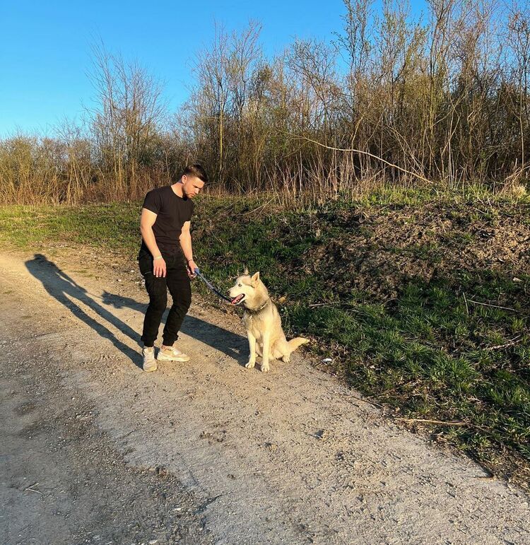 ���������� ������, ���� ������� ����, 36 ���, ������������ ��� ������, ����� � ���������