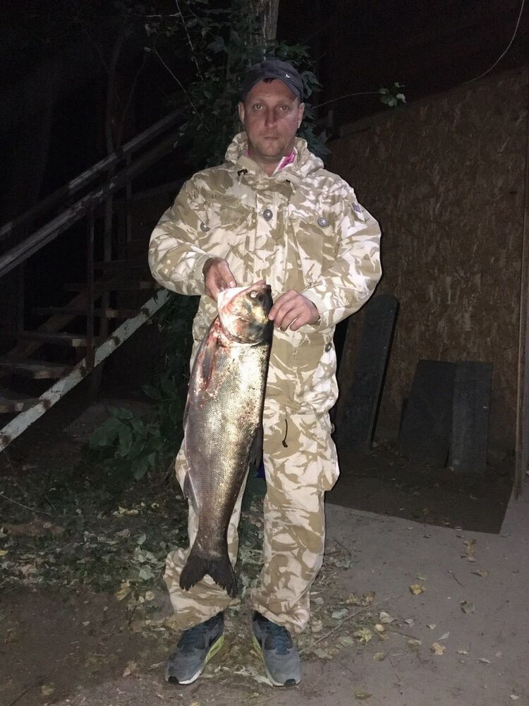 ���� 9059603 ������� �����, 46 ���, ���� ���������� � ����������