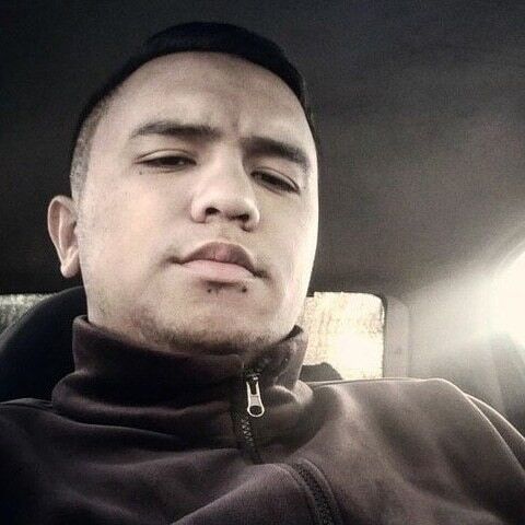 ���� 15296923 ������� Insafly, 33 ����, ���� ���������� � ��������