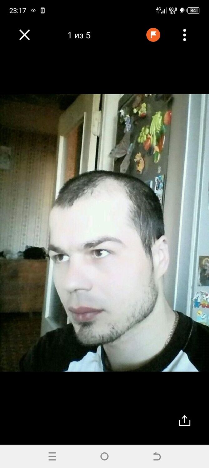  41447653  , 41 ,    
