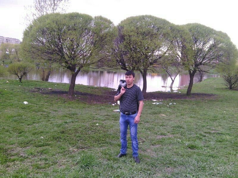  53754083  Dima, 39 ,    