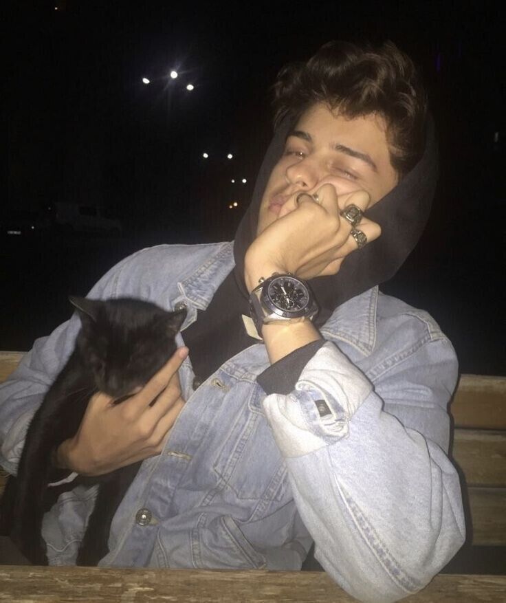 ���� 20933953 ������� �������, 26 ���, ���� ���������� � �����