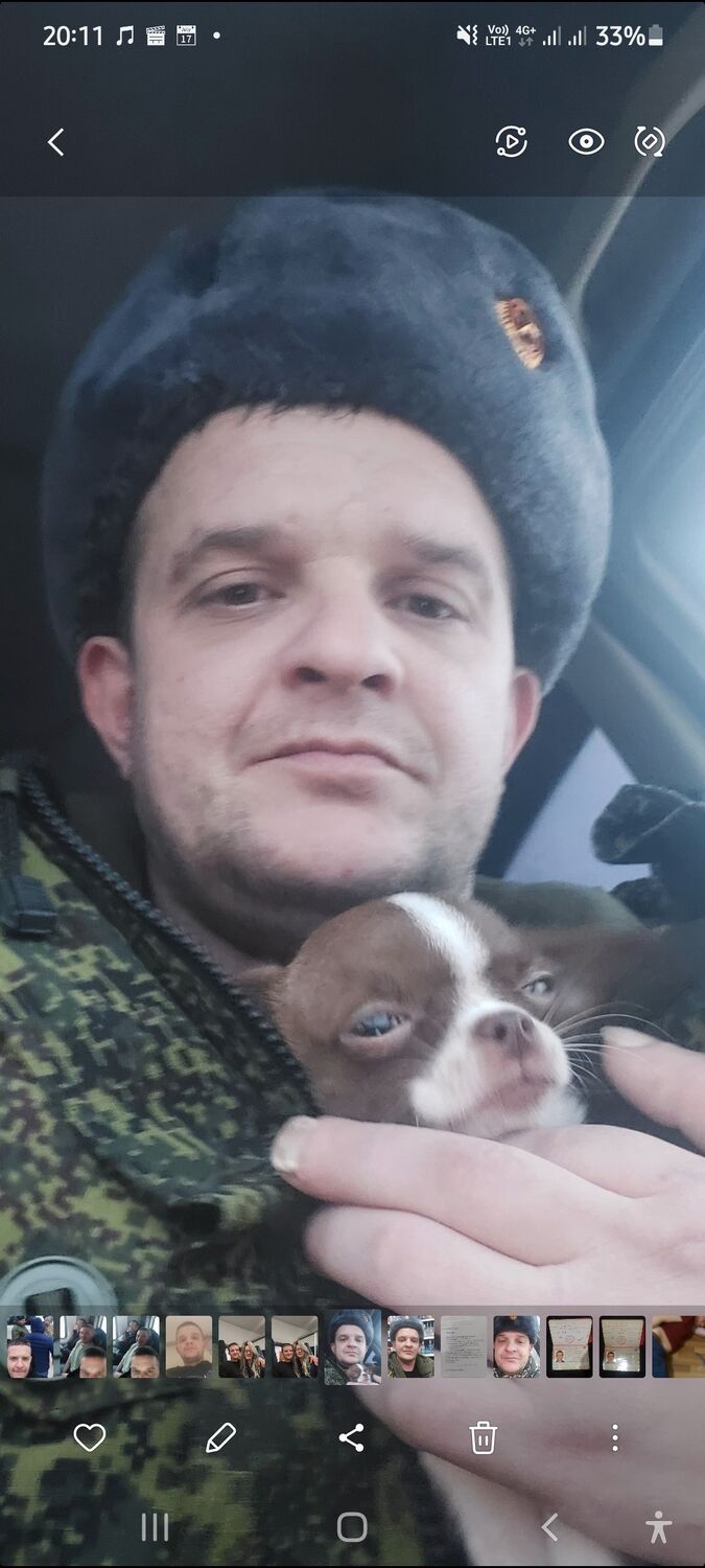 ���� 40888563 ������� ���������, 36 ���, ���� ���������� � �����-����������