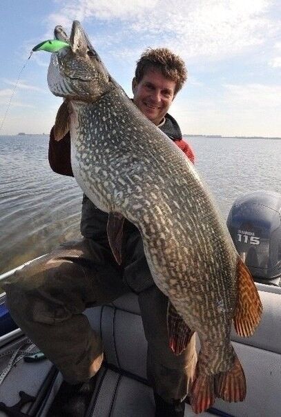 ���������� ������ ��������, ���� ������� ��������, 58 ���, ������������ ��� ������