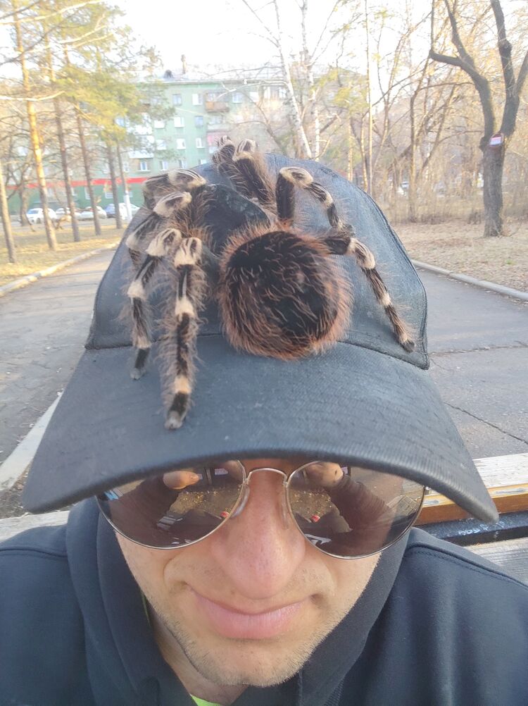 ���� 26997093 ������� ������, 31 ���, ���� ���������� � �������������