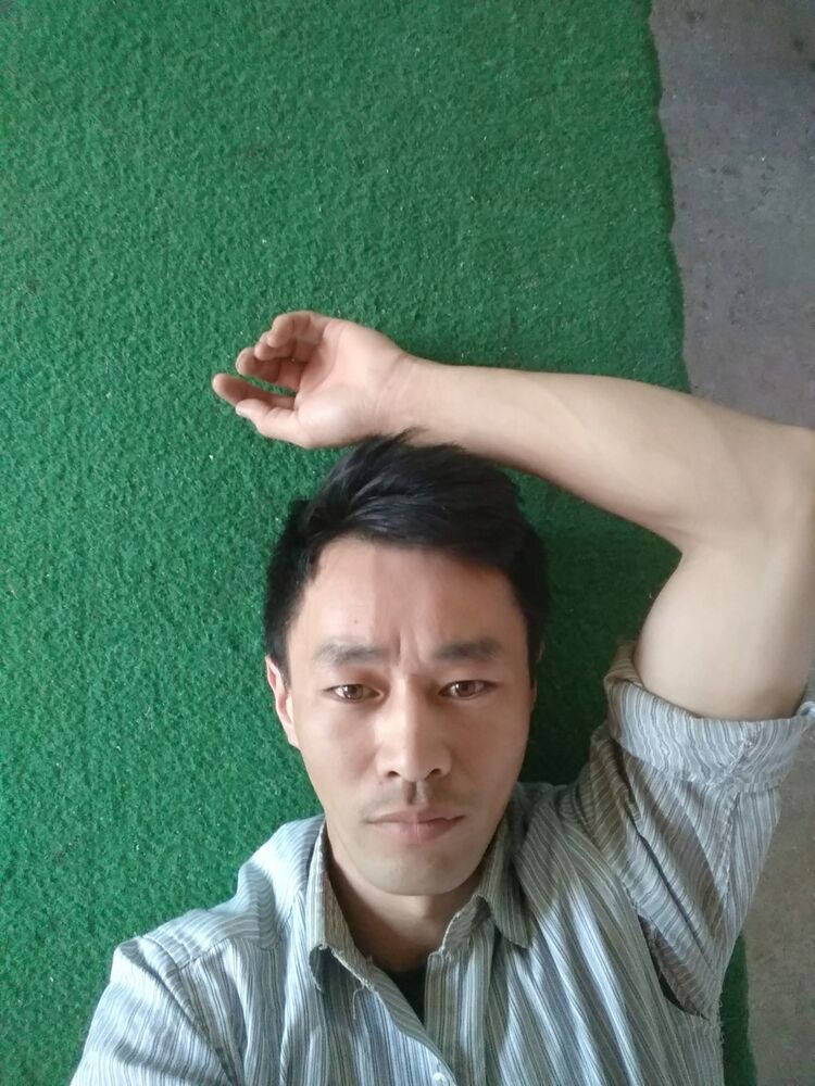  16453733  , 40 ,    