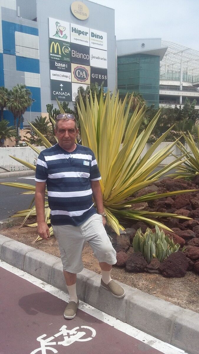  -,   , 66 ,     , c 