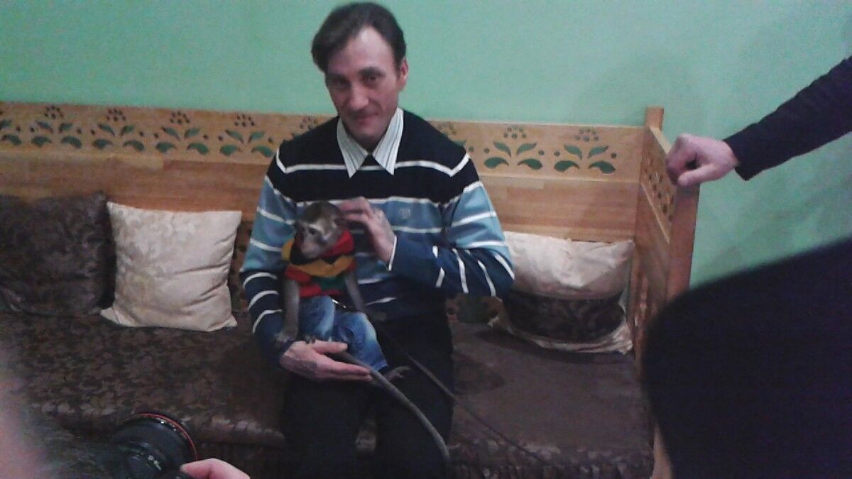 ���������� ������, ���� ������� Adam, 46 ���, ������������ ��� ������, ����� � ���������, c�������� ���������