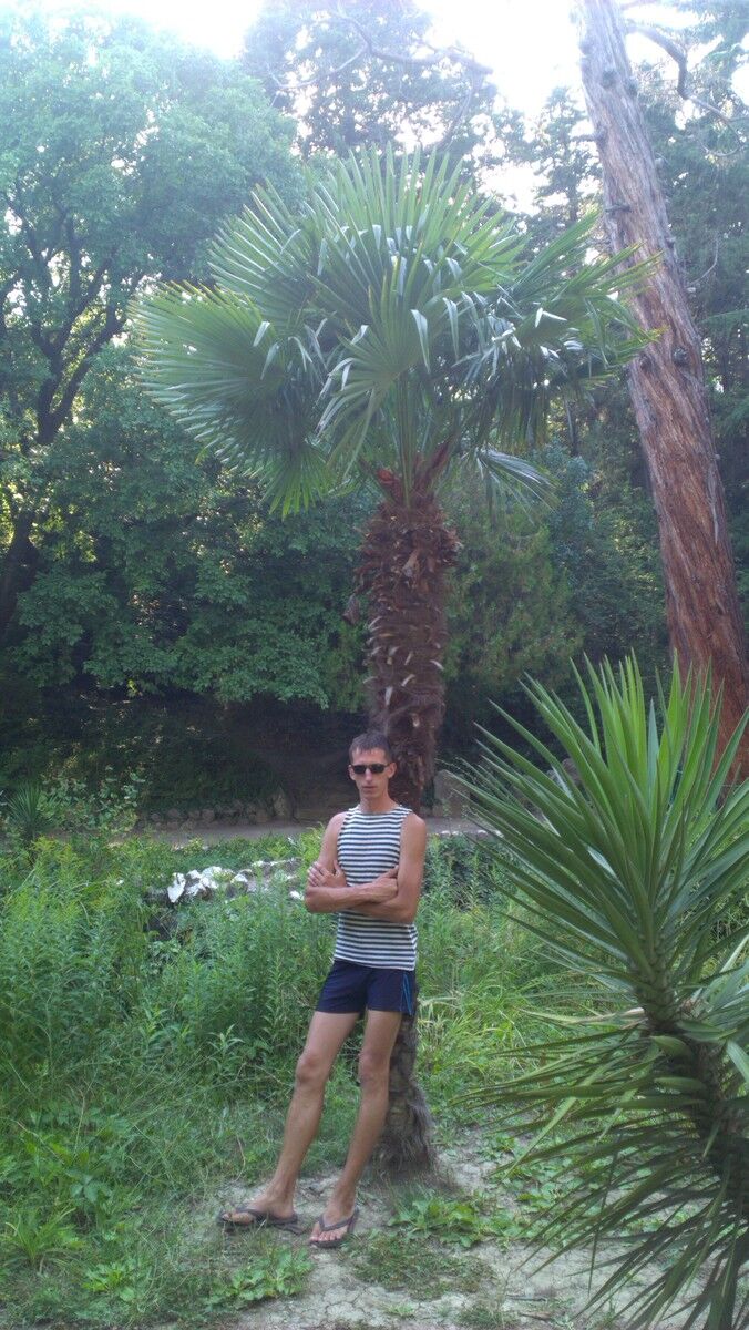 ���������� �����������, ���� ������� ������, 37 ���, ������������ 