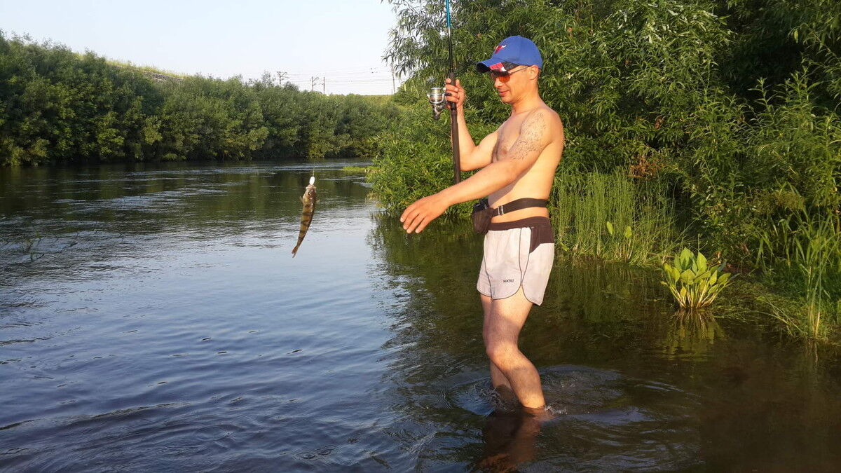 ���������� �����, ���� ������� �������, 43 ����, ������������ ��� ������, ����� � ���������, c�������� ���������