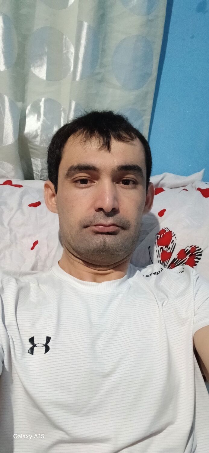  53330193  , 32 ,    