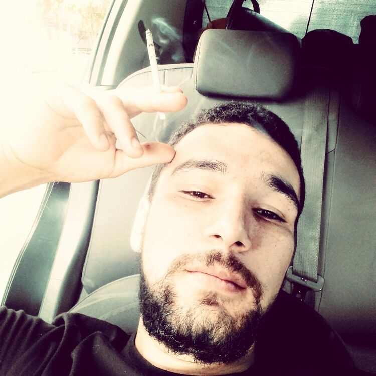 ���� 16875343 ������� �����, 32 ����, ���� ���������� � ��������