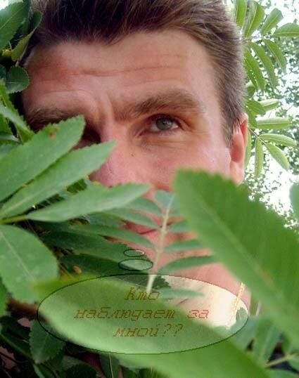 ���������� ��������, ���� ������� �������, 52 ����, ������������ ��� ������, ����� � ���������, c�������� ���������