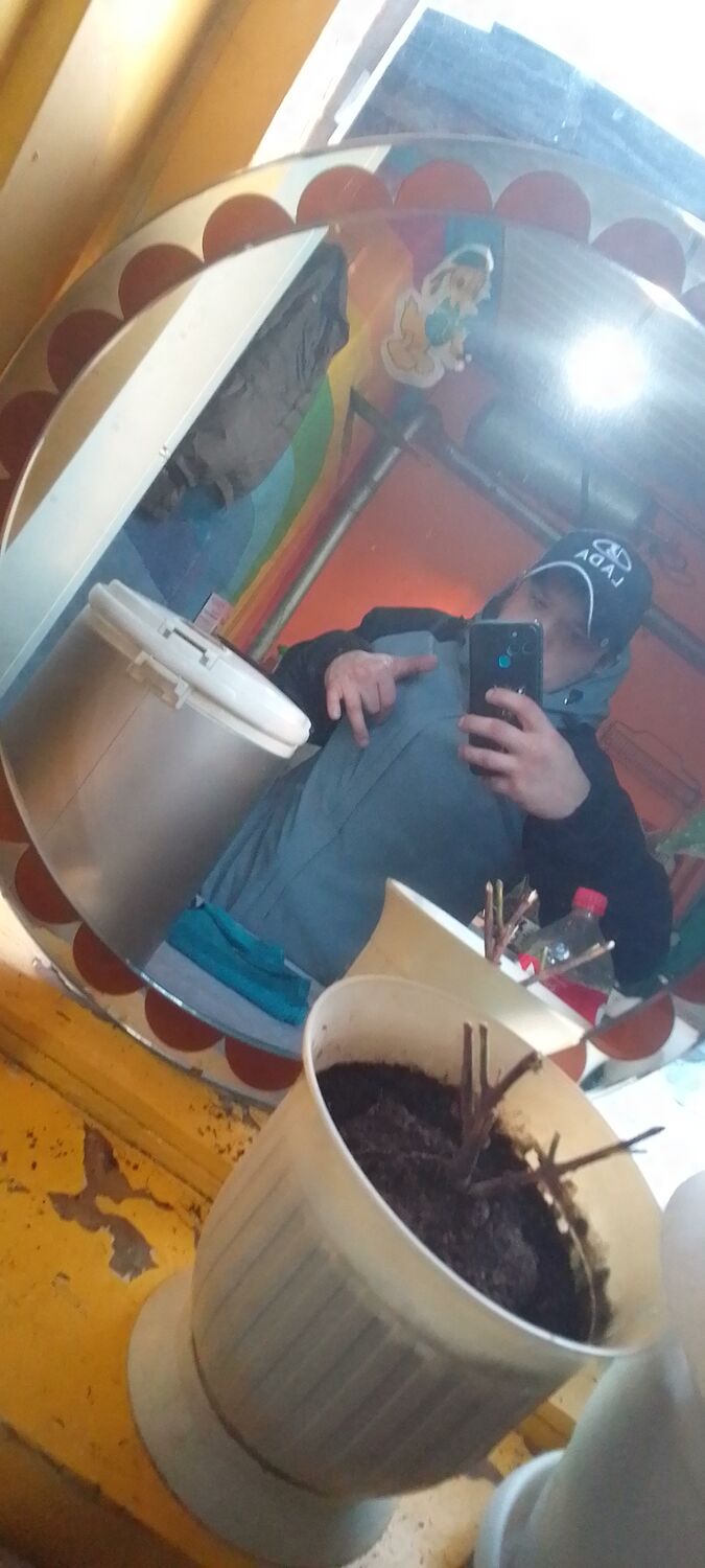  33455723  , 27 ,    