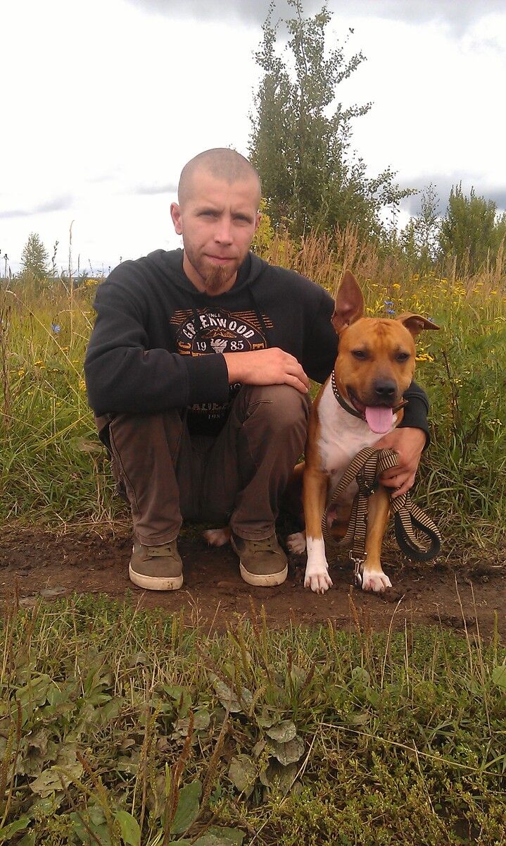 ���� 4758883 ������� ������, 40 ���, ���� ���������� � ������