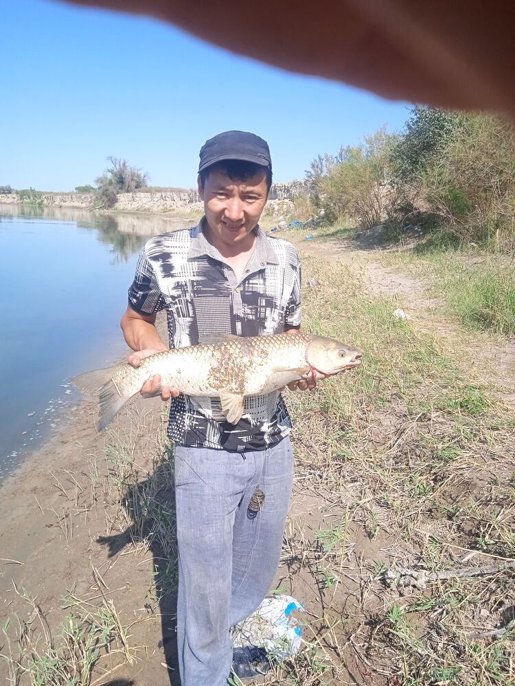 ���� 24115463 ������� ����, 44 ����, ���� ���������� � ������