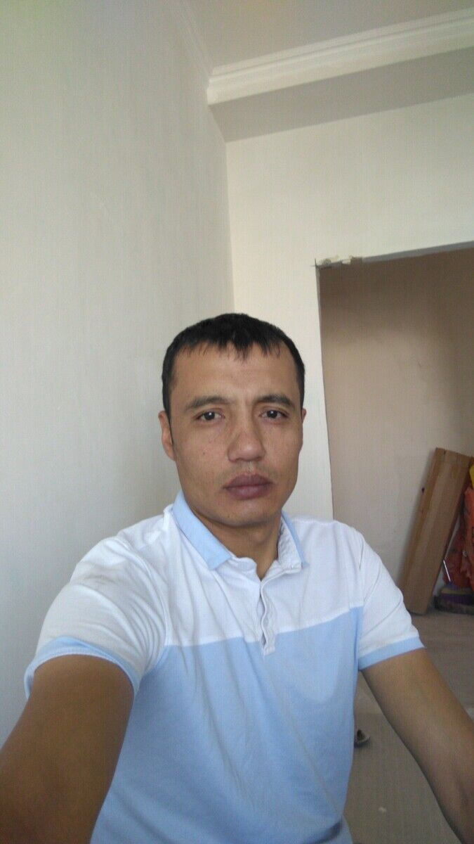  20432213  , 41 ,    