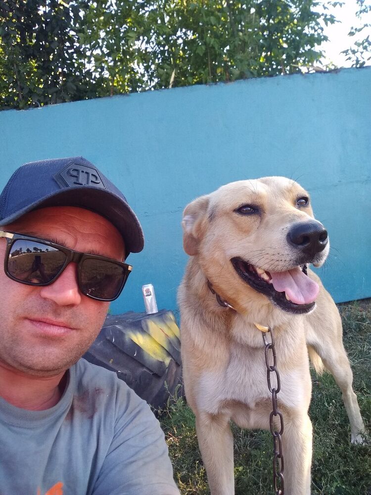 ���� 20864263 ������� �������, 41 ���, ���� ���������� � ���������������