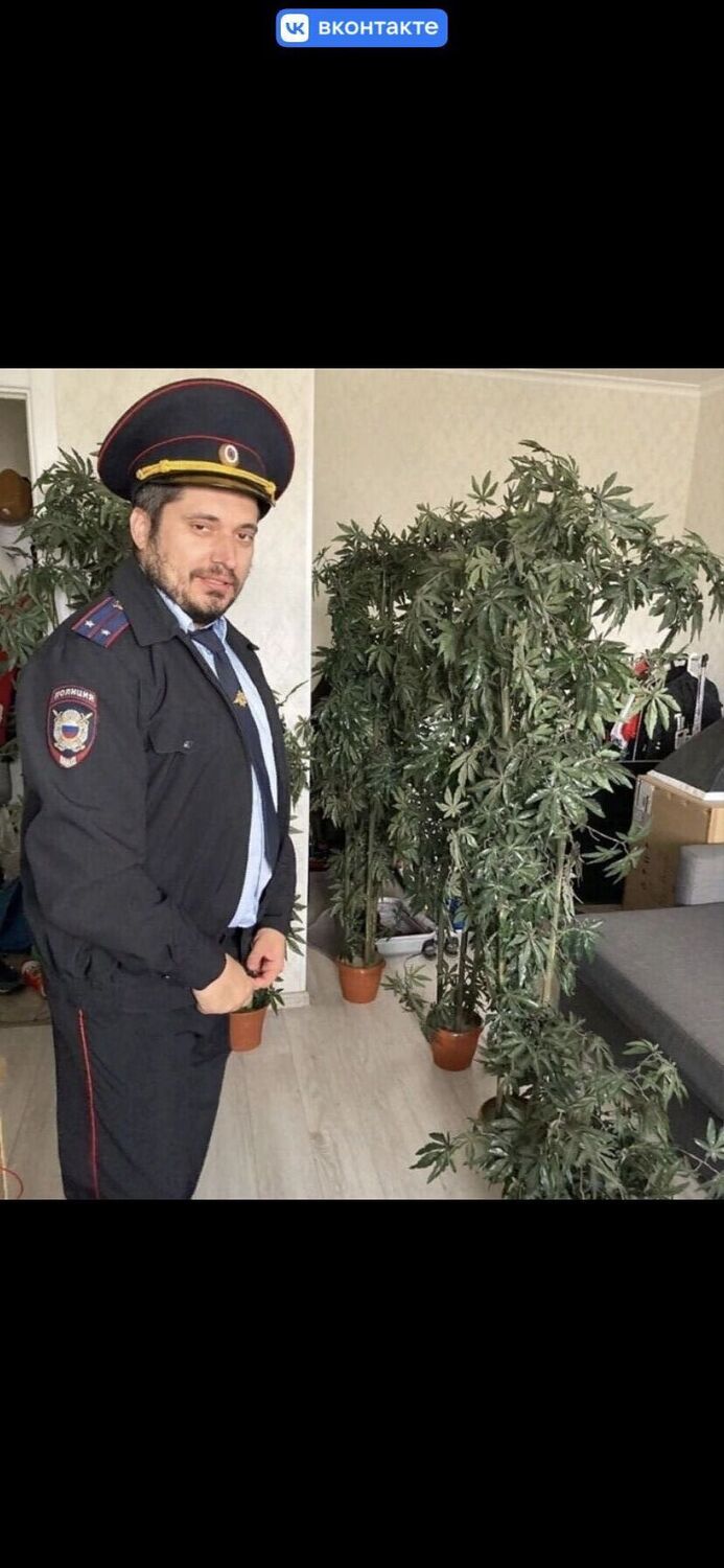 ���� 39548913 ������� ������, 28 ���, ���� ���������� � ����������