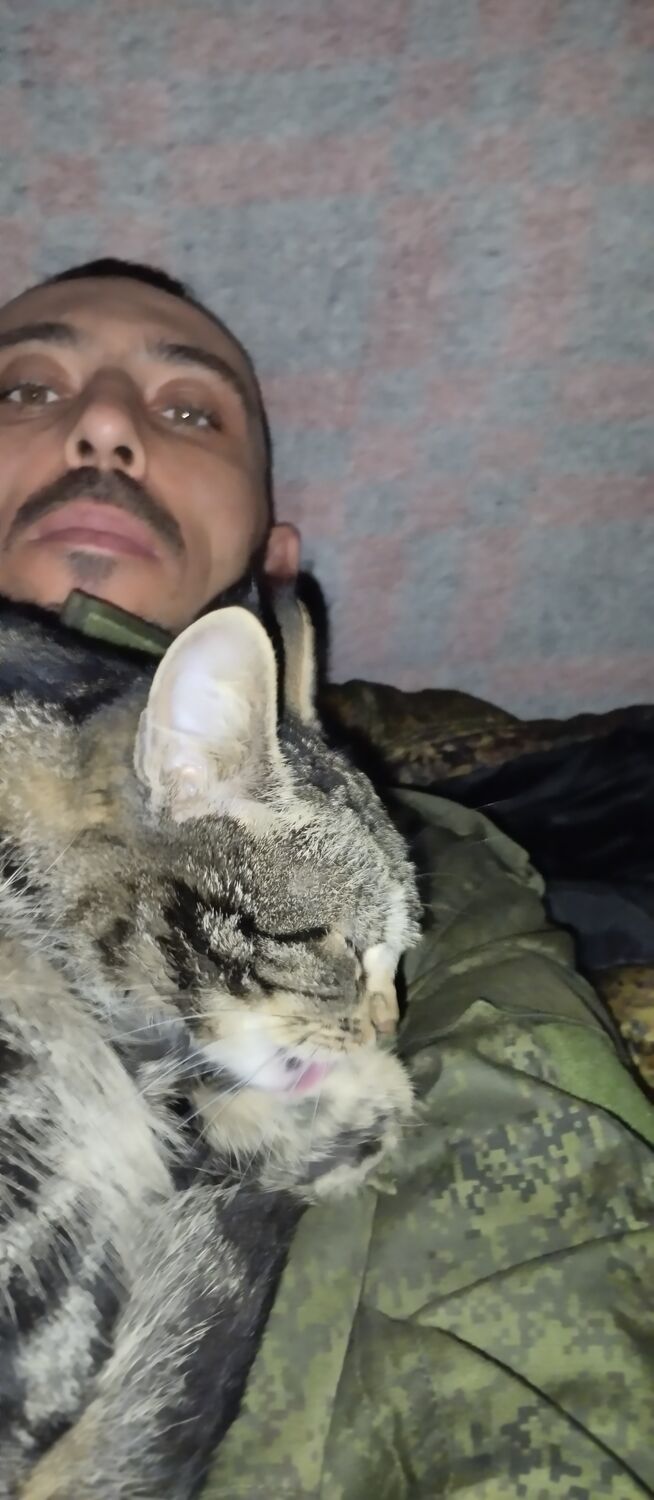 ���������� ������, ���� ������� �������, 38 ���, ������������ ��� ������, ����� � ���������