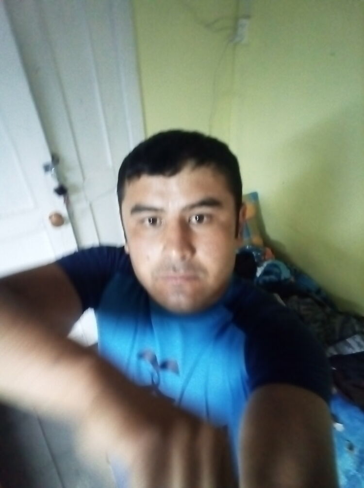  16618353  , 33 ,    