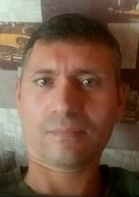  33987703  , 43 ,    