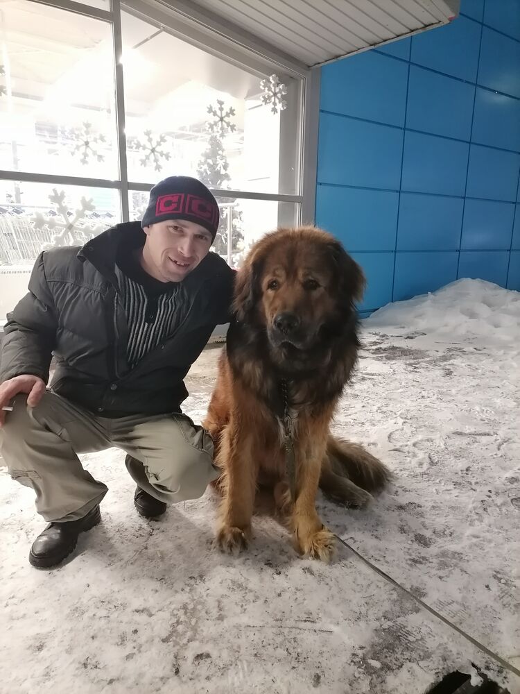 ���������� �������, ���� ������� �����, 36 ���, ������������ ��� ������, ����� � ���������