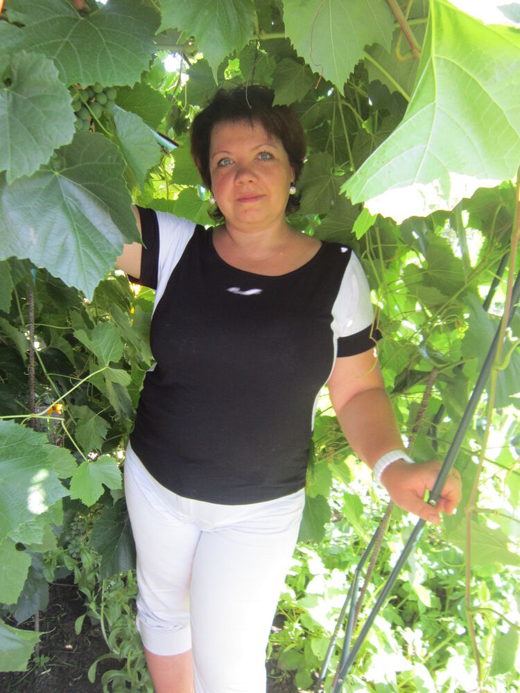 ���� 7817853 ������� �������, 51 ���, ���� ���������� � �����