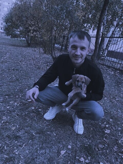 ���� 47335053 ������� ����, 27 ���, ���� ���������� � �����-����������