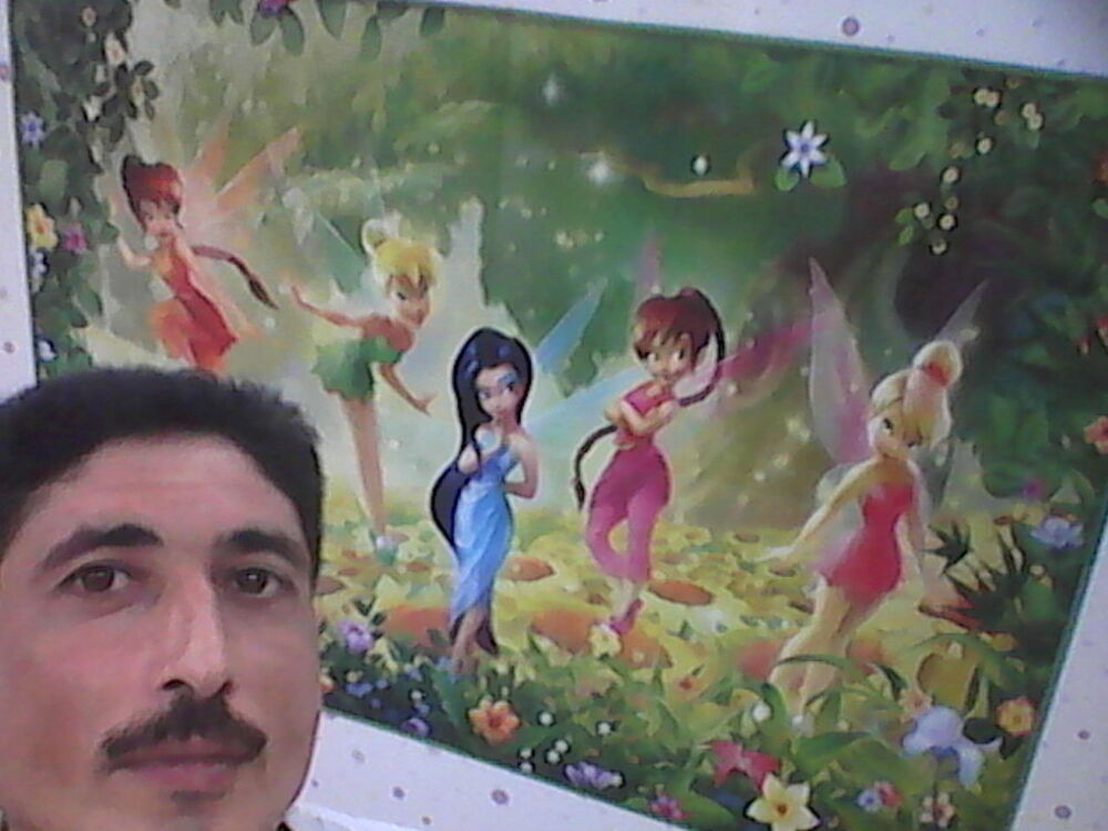 ���� 12230923 ������� ��������, 48 ���, ���� ���������� � ����