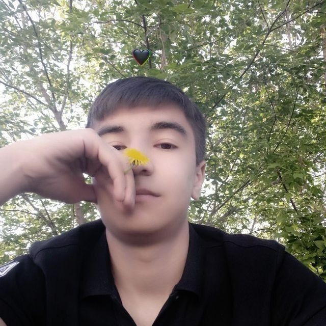 ���� 41477863 ����� �����, 20 ���, ���� ���������� � ������������