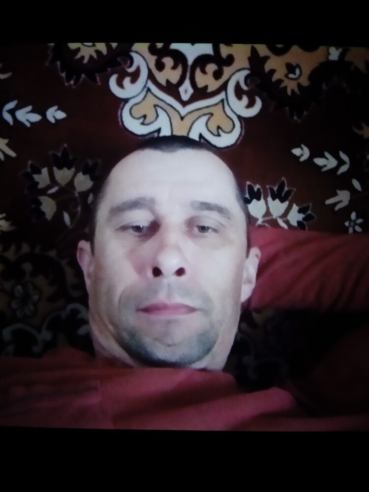  49407243  , 41 ,    