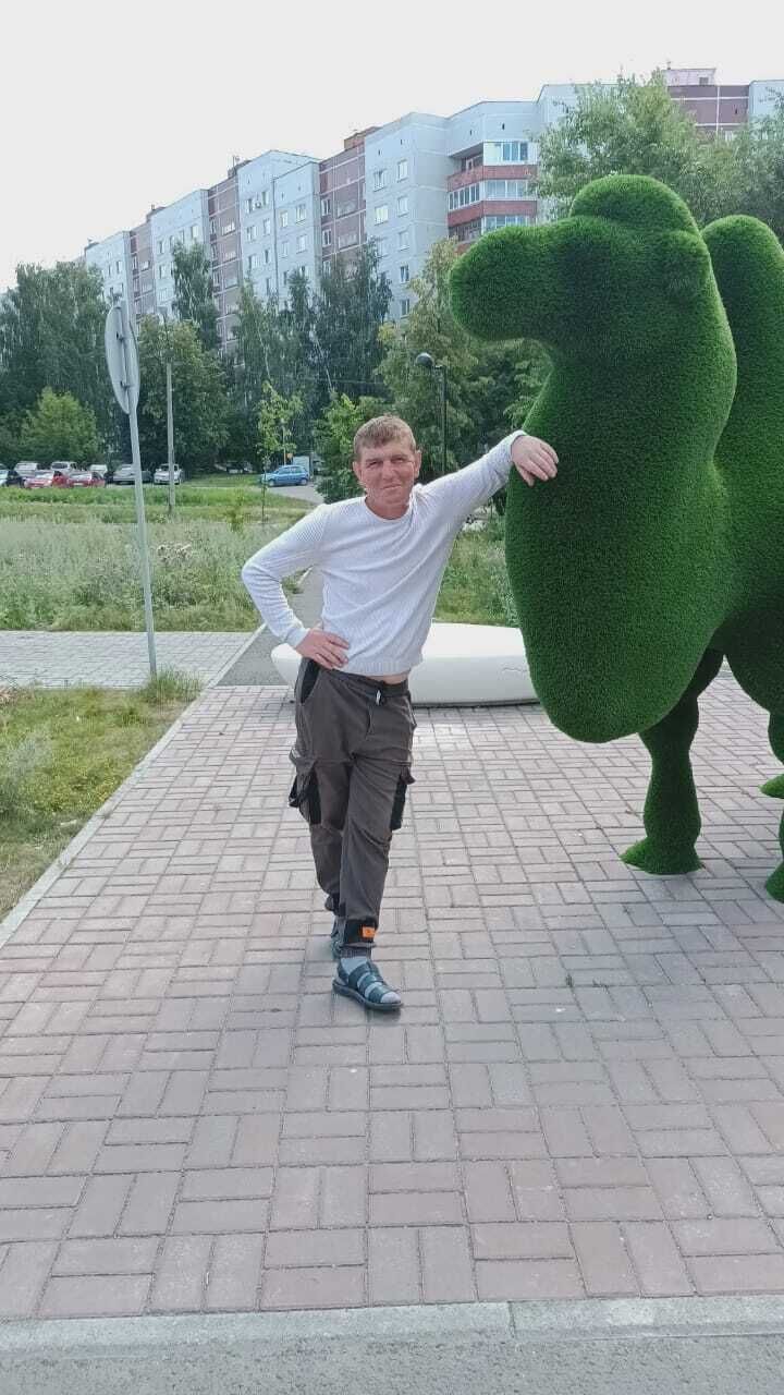  28520663  , 47 ,    
