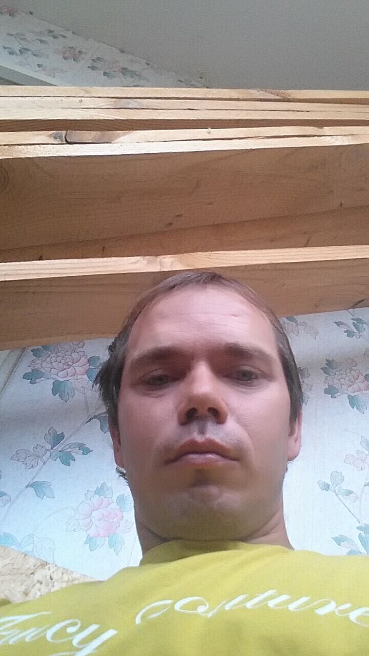  28925653  , 38 ,    