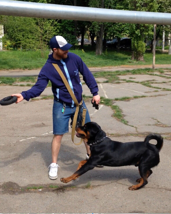  ,   Vladislav, 37 ,   ,   , c 